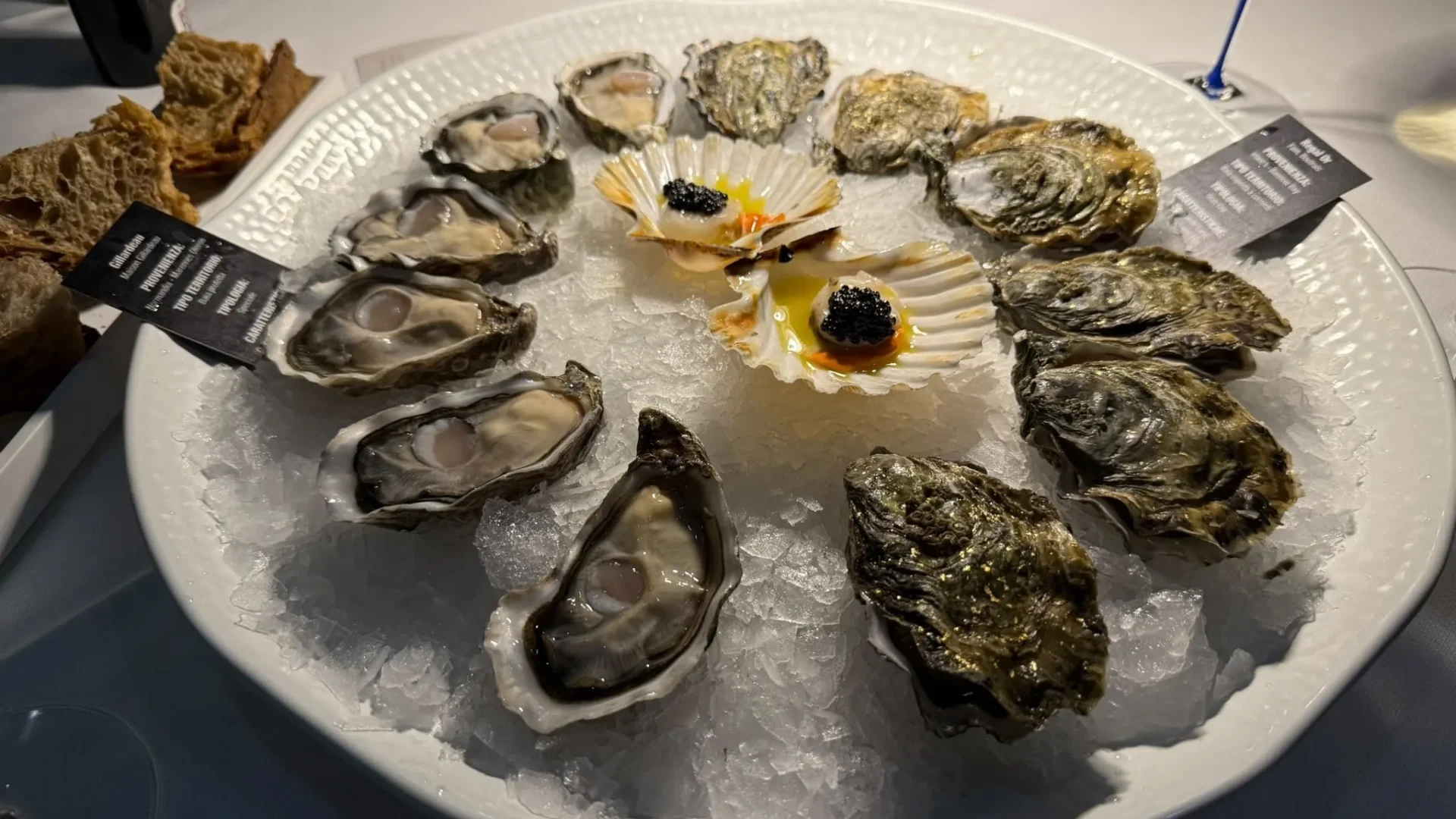 Piatto pesce fresco treviso dai fioi al marca 5